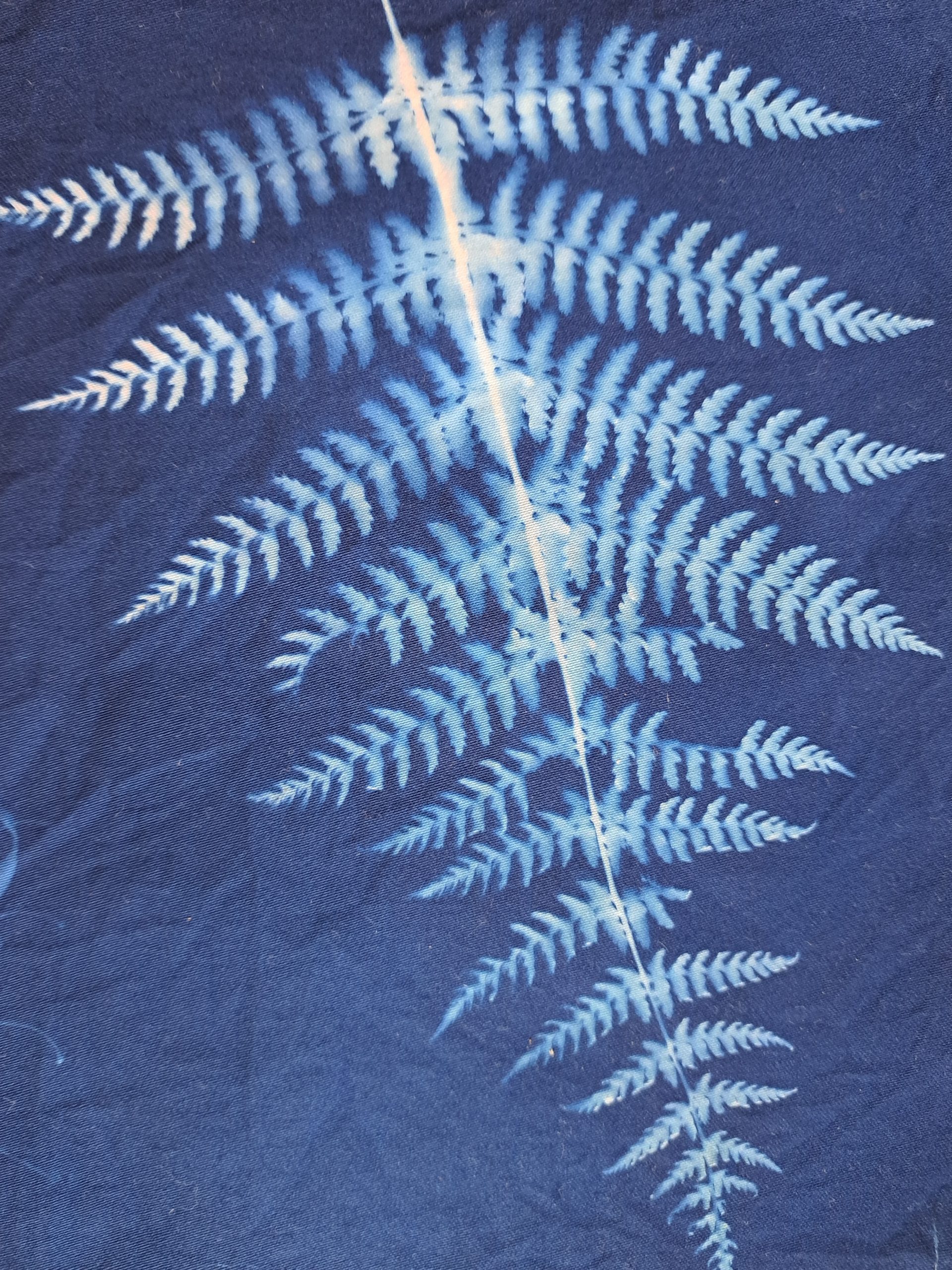 Cyanotype Workshop 1 with Celia @ Full Circle Haberdashery